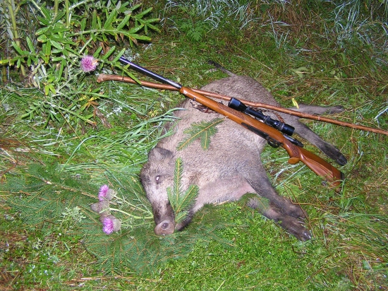 ...lanštiačik z bodliakov...