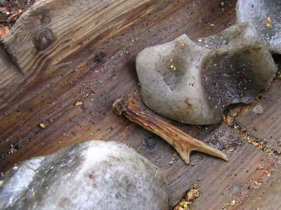 ...taký malý soliskový...