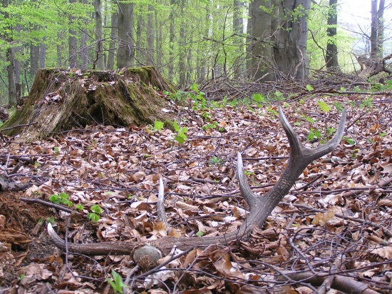 ...pár dohľadaný...