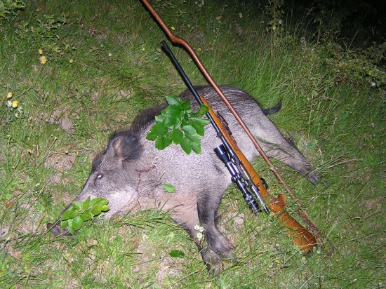 ...podvečerný lanštiak...