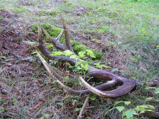 ...2 roky si poležal.4kg...
