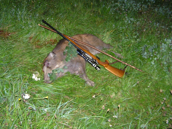 ...večerné prasiatko....