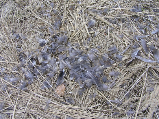 ...a je po sluke....