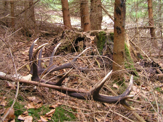 ...niečo z archívu....