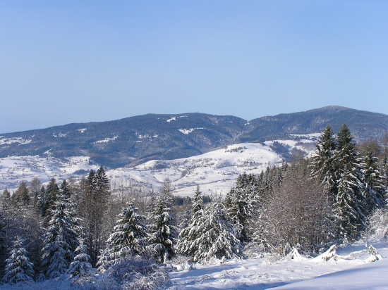 Poľana