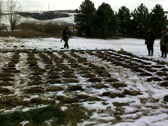 celkom dobre sa nám darilo