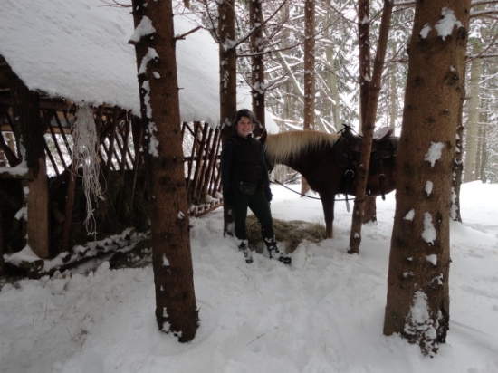 Dnešné prikrmovanie