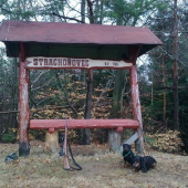 Veľkonočná prechádzka