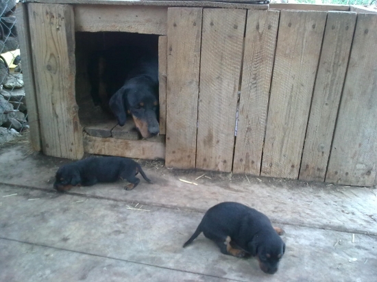 Už začíname behať :-))