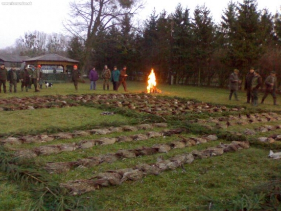 Palárikovo 20.11. 2007