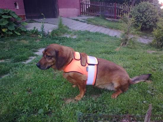 nákup na podzim a zimu