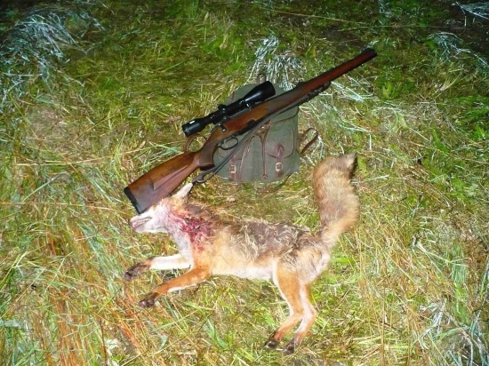 na 110 kroků