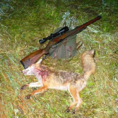 na 110 kroků