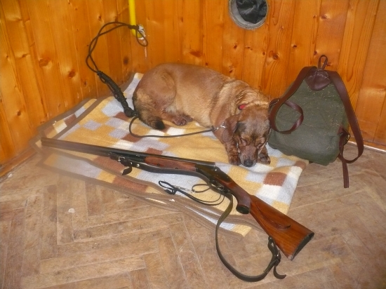 unavená po honu a parádním dosledu