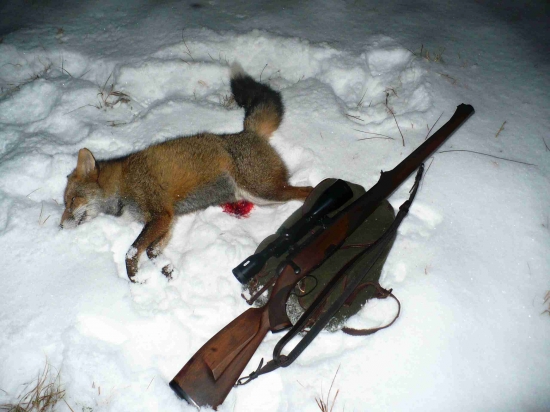 vřeštidlo = lišák