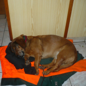 utahaná po  náročném dni