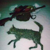 moje 8má přesně v 00:00 na myškování