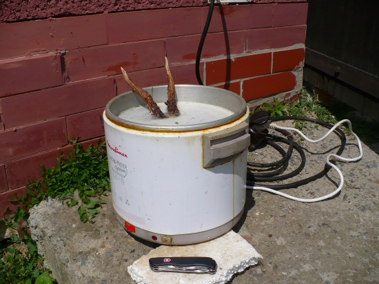 vyřazený z domácnosti