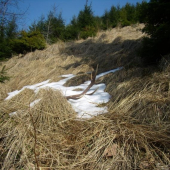 pre bystre oči vonku  z mladiny