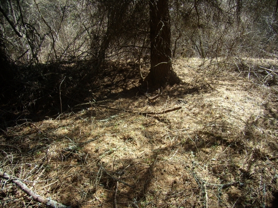 toho roku 2-hý čerstvý