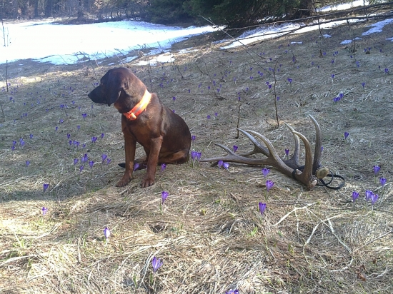 trošku sme sa prešli