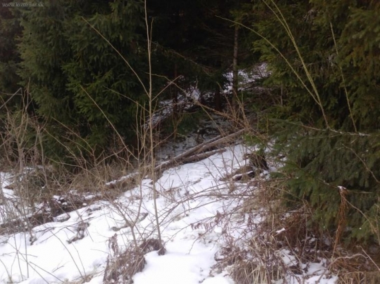 po týždni pár k i.d.53648