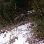 po týždni pár k i.d.53648