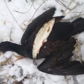 Wilkommen in Slovakei...... nasteva z Finska