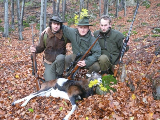 moja rarita baran 6 r