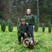 Narodeninový  muflon