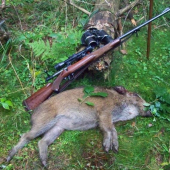 Rána sú najlepšie