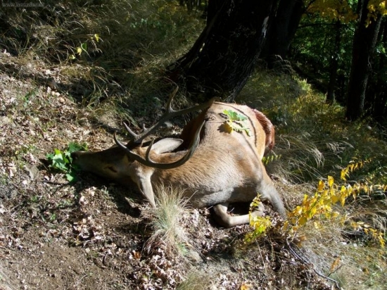 Slaba trofej-silny zážitok