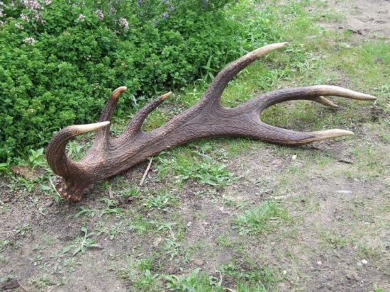 tento si vážim najviac