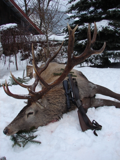 medzi vinocami a silvestrom-nepravidelny 16-torak