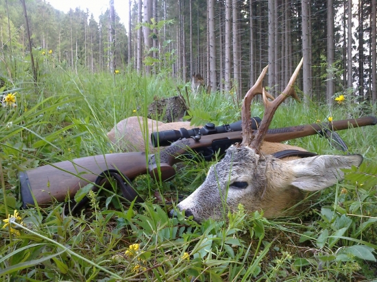 musel som nan  nakricat...