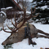 rossler titan dobra klasika 8x57a dobry jelen