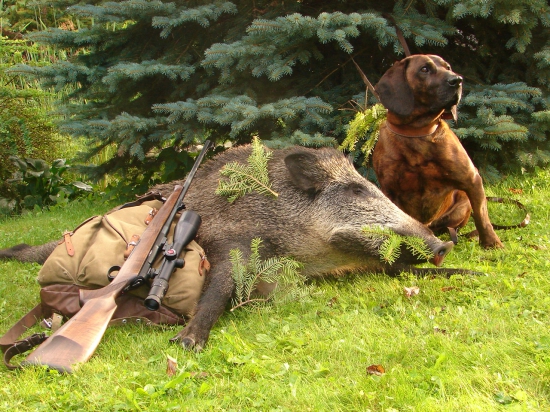 čaro nočnej dohladavky