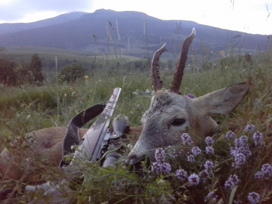 ...na materinej duške