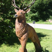 dar pre zvernicu Betliar-50 vyročie