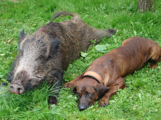 Athos to berie vazne