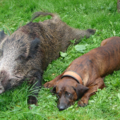 Athos to berie vazne