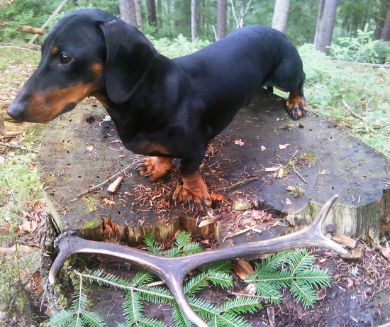 Adyrova dnešná trofej