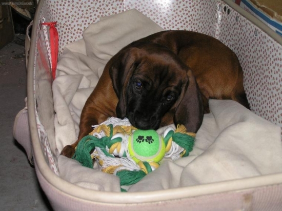 Atos prvý deň doma