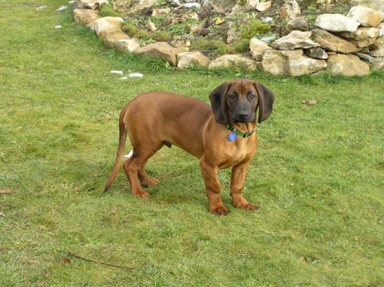 Atos pri skalke (4,5 mesiaca)