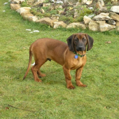 Atos pri skalke (4,5 mesiaca)