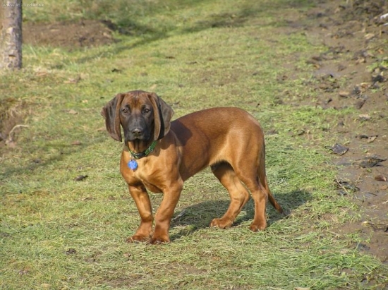 V záhrade (4,5 mesiaca)