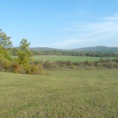 Náš poľovný revír