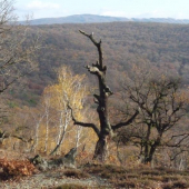 pohľad z Malej Ostrej na Klížske Lúčky
