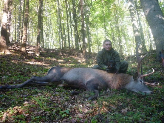 oliverova uspešna dohladavka