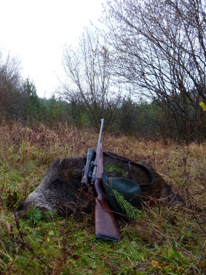 spomienka na November 2010